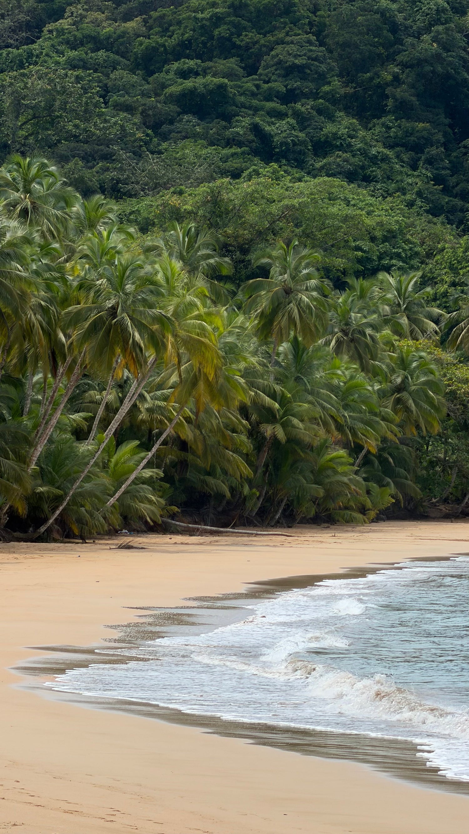 SS'26 | EARLY ACCESS